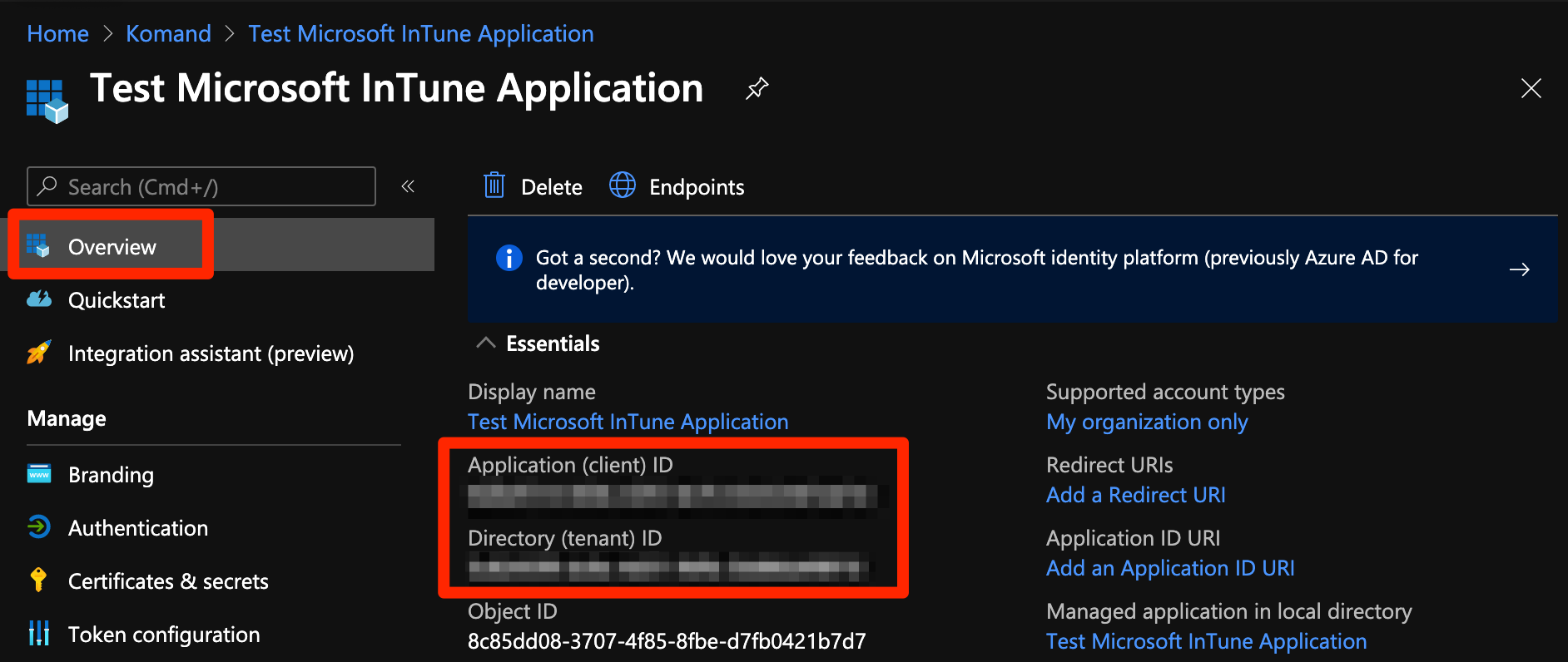 Application ID and Directory ID