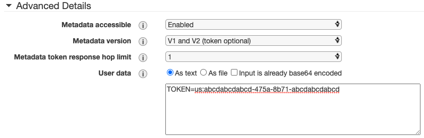 Enter Token